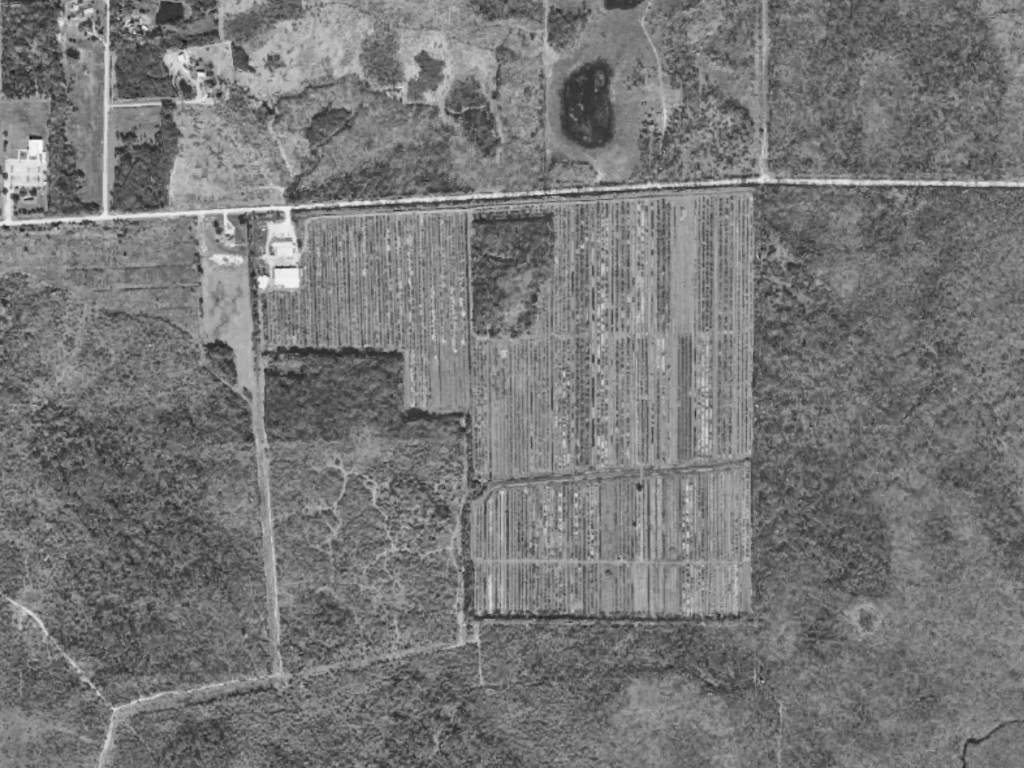 Collier County to Hear Proposal to Rezone East Naples Citrus Grove for 423 Homes by SWJR Naples I and Jon Rubinton
